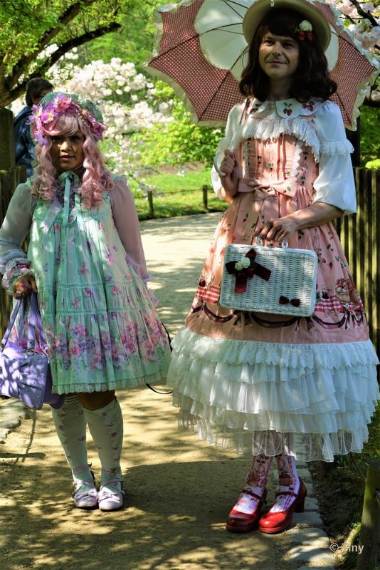 bdFoto 24.JPG - Japanse tuinen
